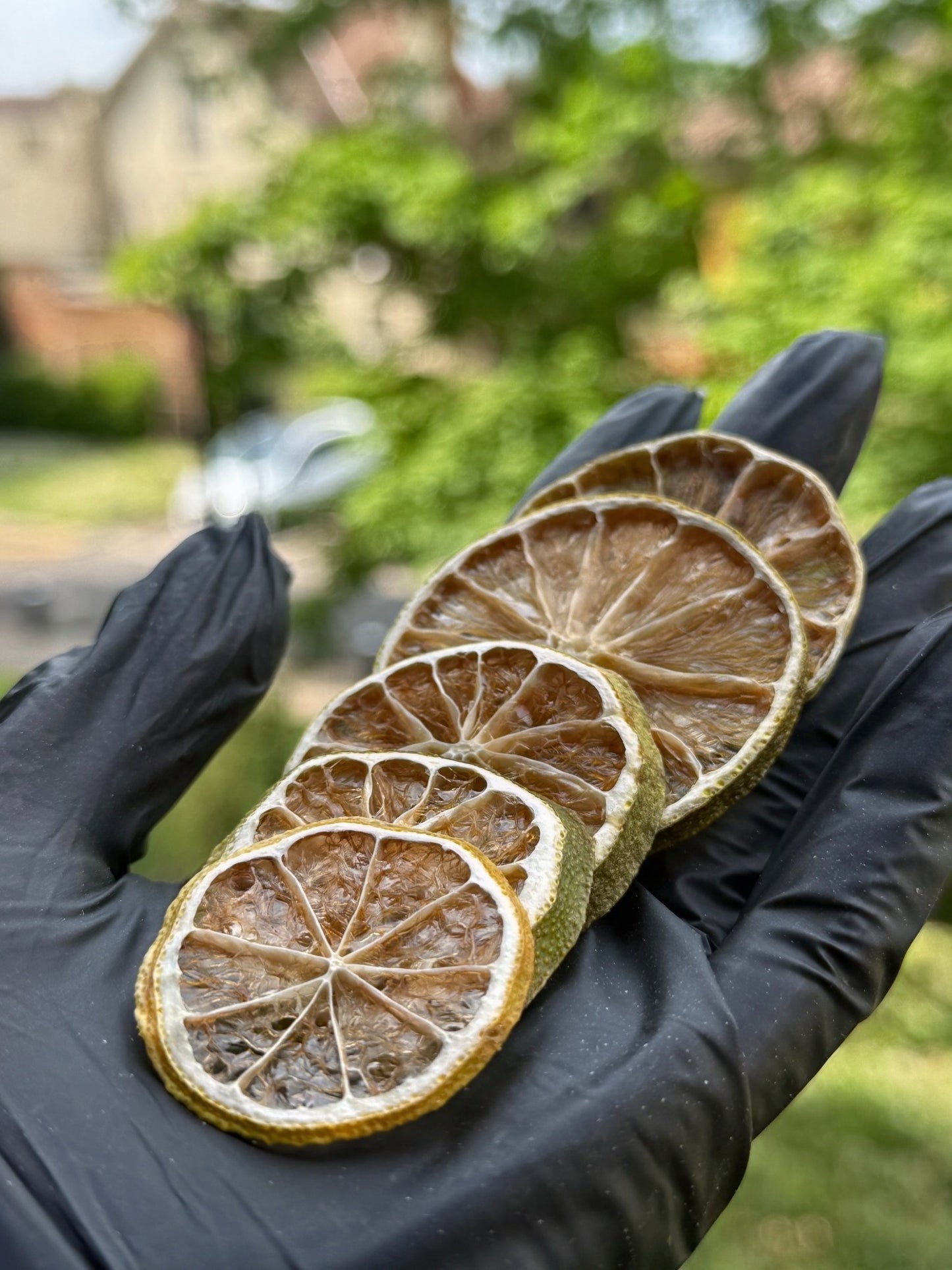Citron vert Déshydraté - Format Vrac pro 1Kg