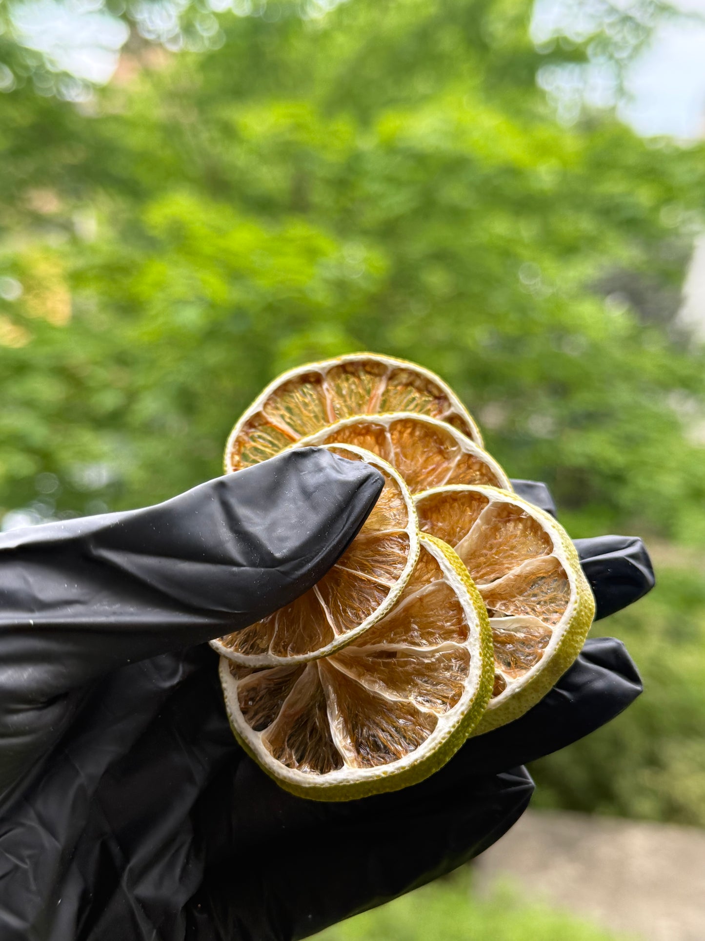 Citron vert Déshydraté - Format Vrac pro 1Kg