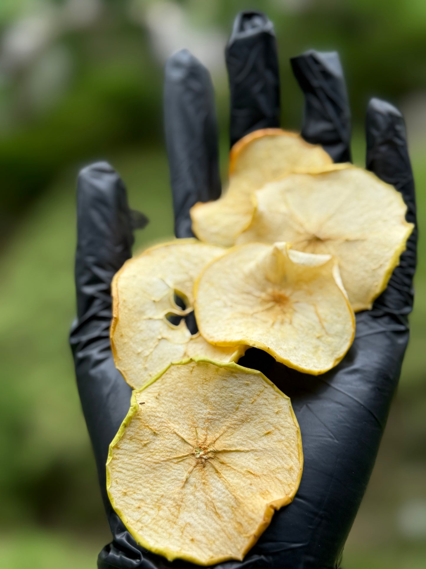 Pomme Déshydratée – Format Vrac Pro 1 kg