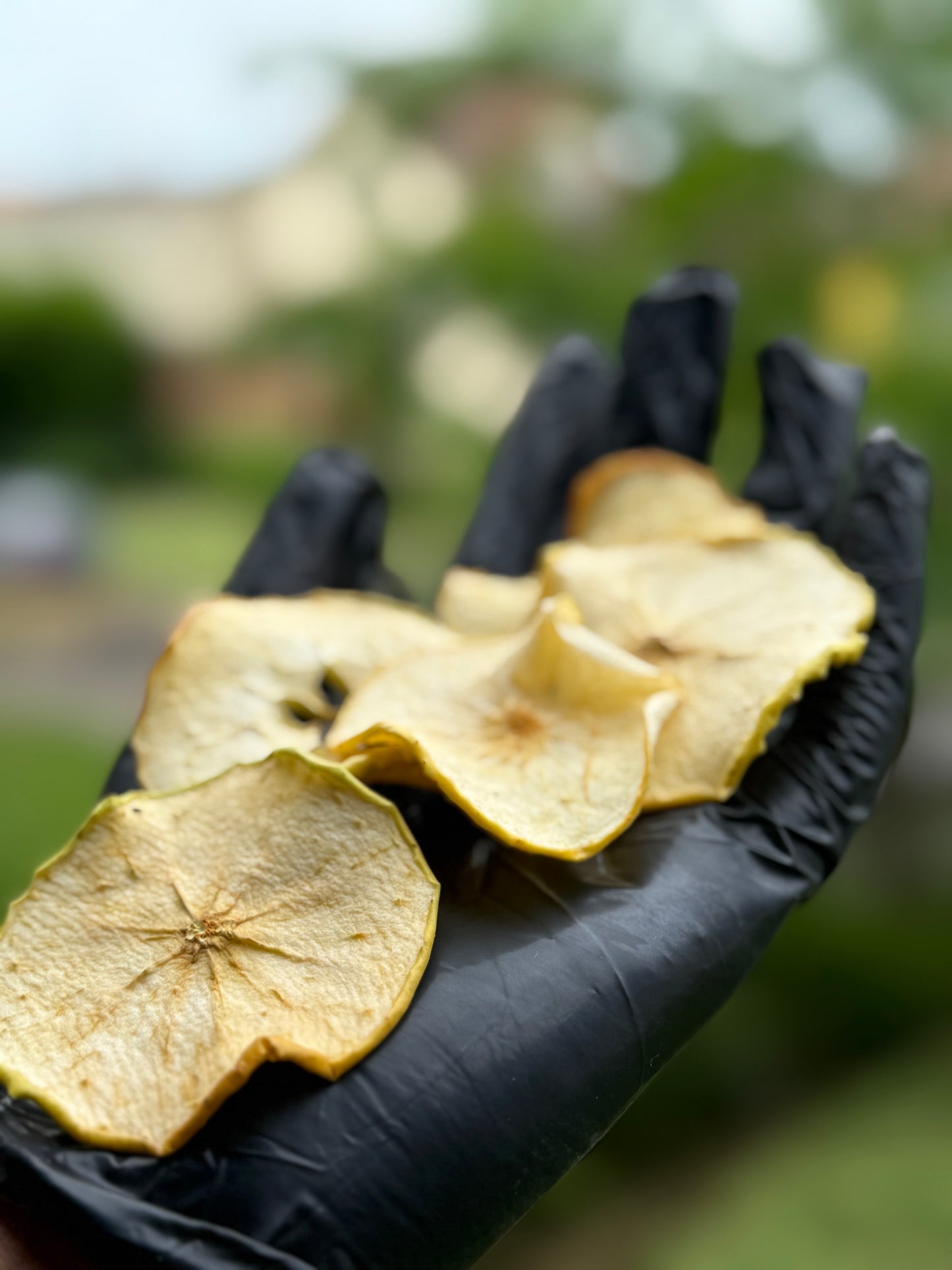 Pomme Déshydratée – Format Vrac Pro 1 kg