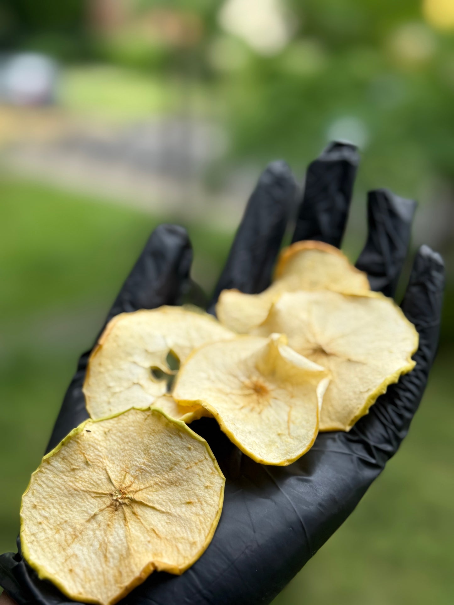 Pomme Déshydratée – Format Vrac Pro 1 kg