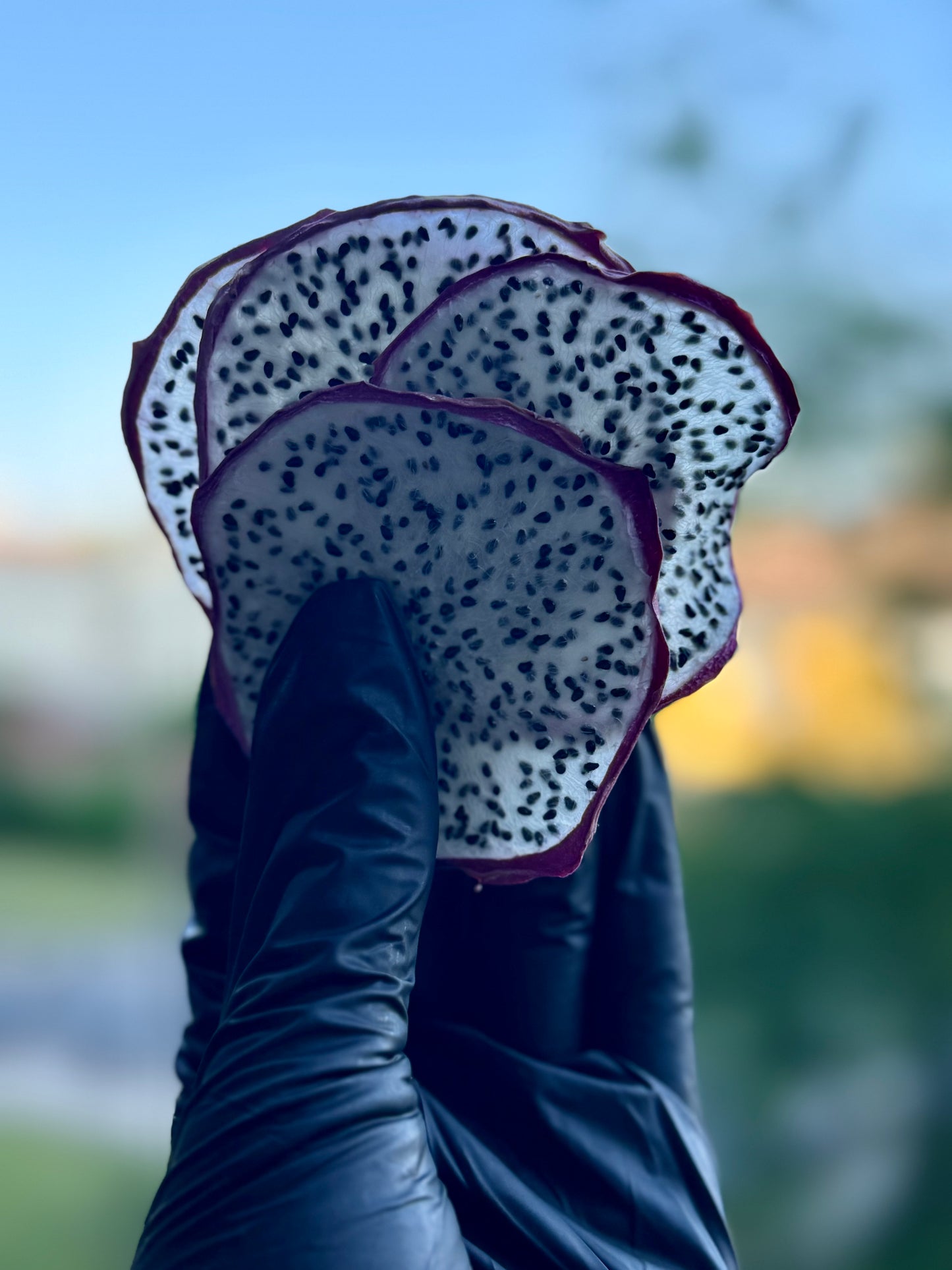 Fruit du dragon déshydraté – 50 & 100 pièces