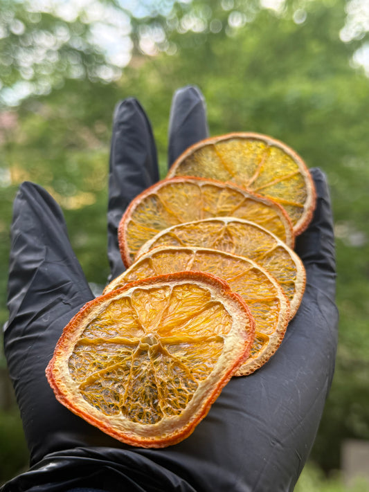 Orange déshydratée – 50 & 100 pièces