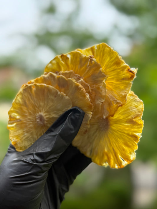 Ananas déshydraté – 50 & 100 pièces