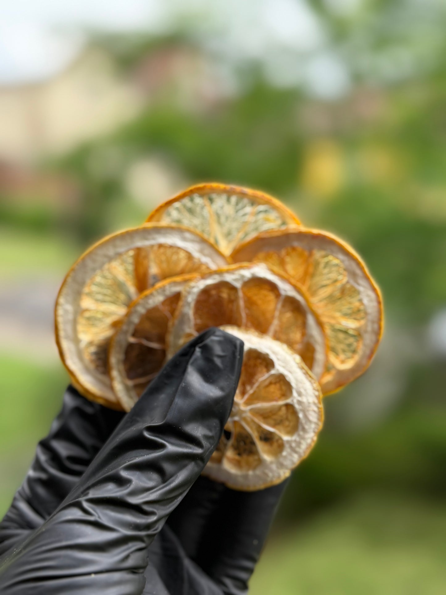 Citron Jaune Déshydraté - Format Vrac pro 1Kg