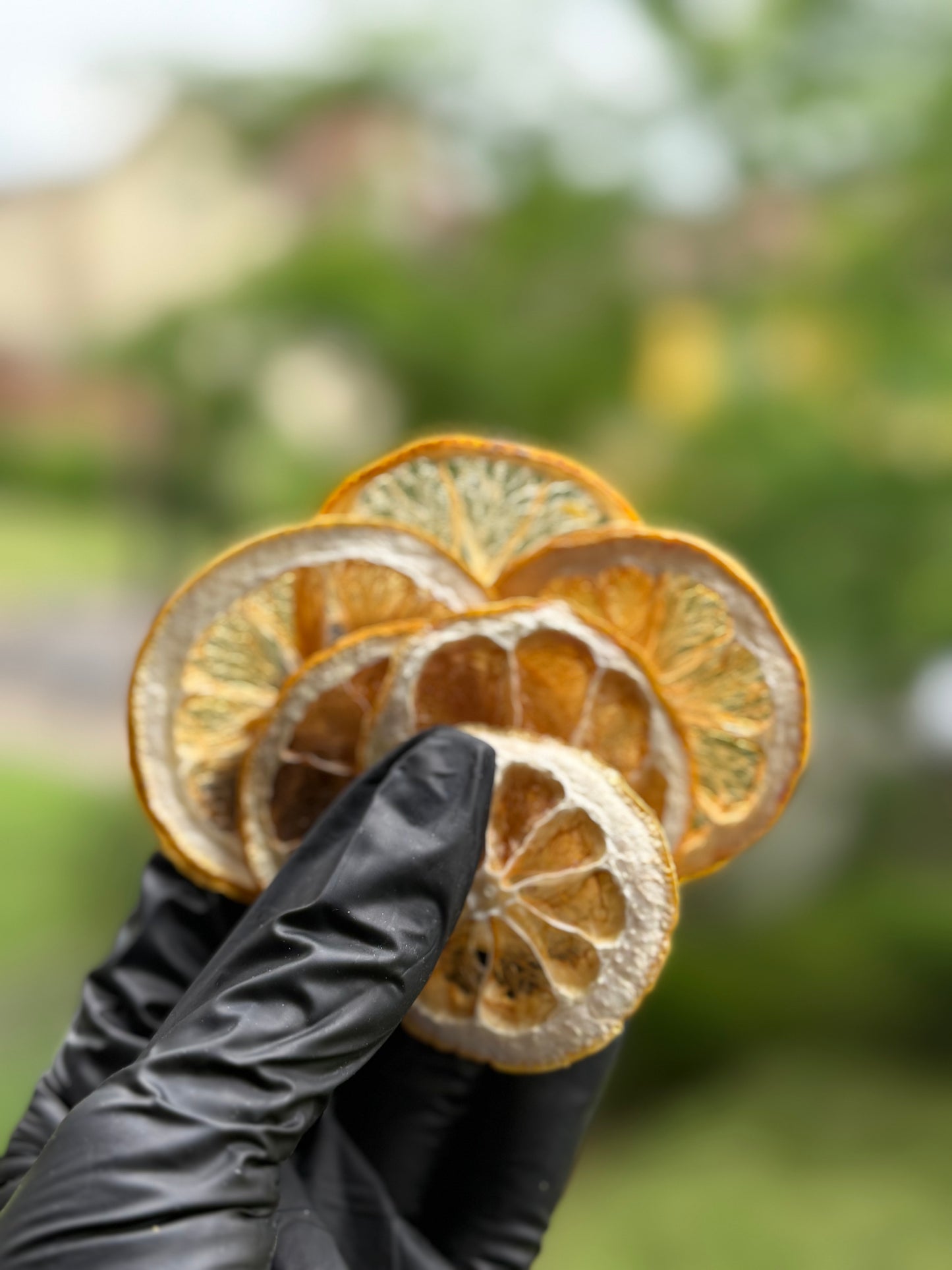Citron Jaune Déshydraté - Format Vrac pro 1Kg