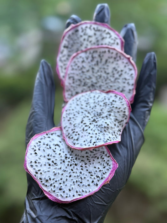 Fruit du dragon déshydraté – 50 & 100 pièces